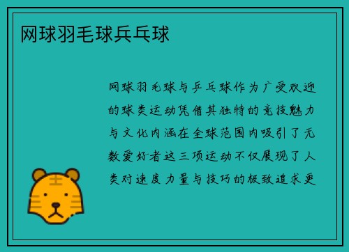 网球羽毛球兵乓球