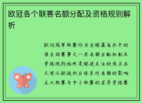 欧冠各个联赛名额分配及资格规则解析